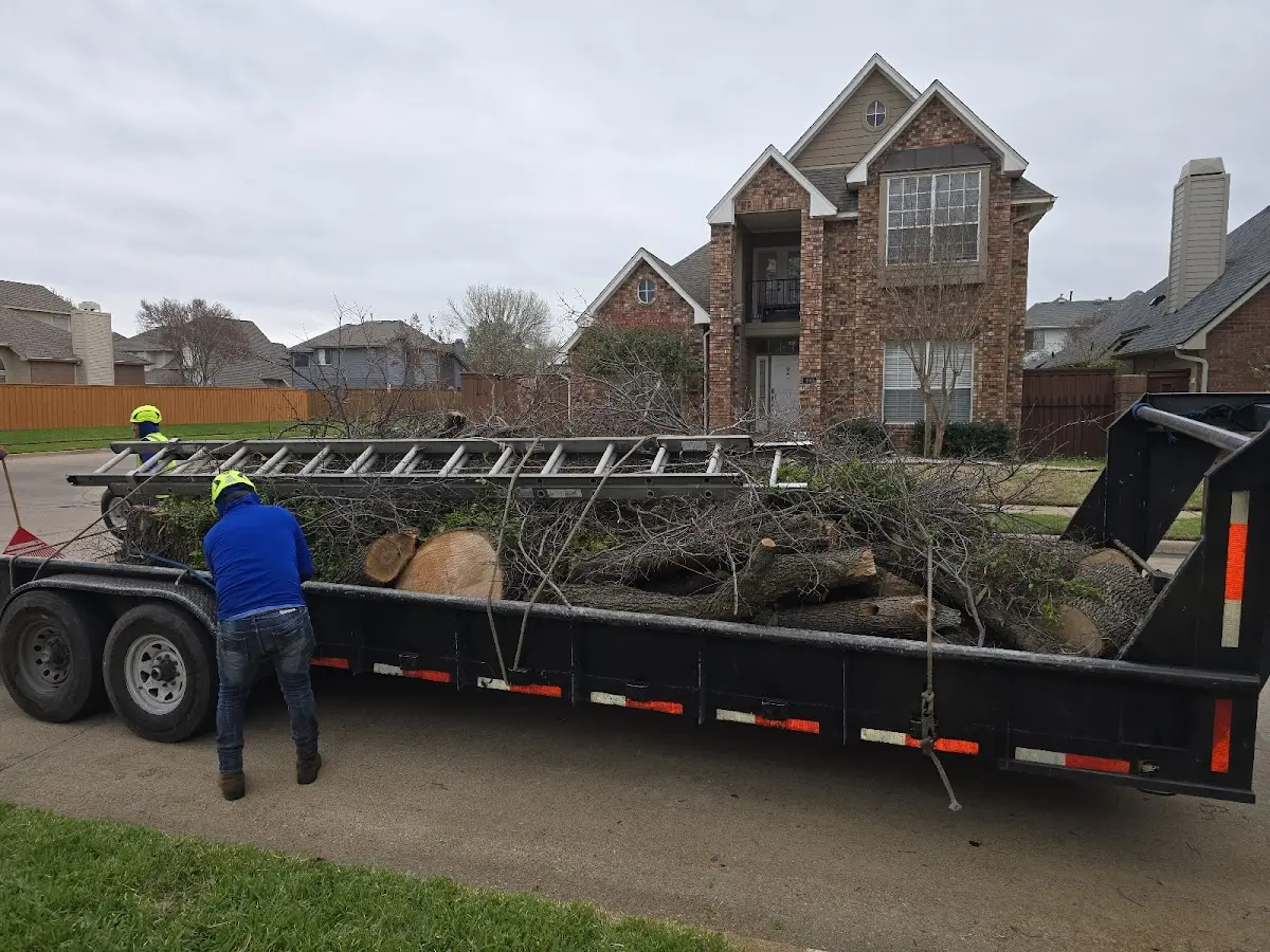 Expert Tree Fertilization with proper safety equipment in Oak Park